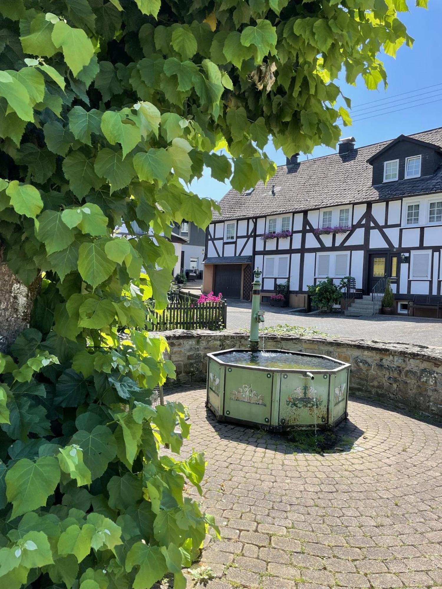 Gittas Paradiesperle Niederdreisbach Exterior foto